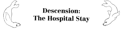 Descension: The Hospital Stay
