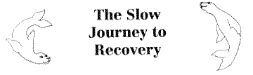 The Slow Journey to Recovery
