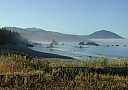 [button photo of the beach along the seaside town of Port Orford, OR]